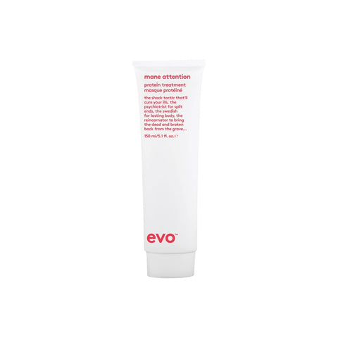 EVO Mane Attention Protein Treatment