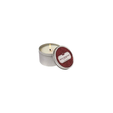 HILLHOUSE NATURALS CANDLE TIN - SPICY ROSEHIP