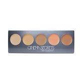 CINEMA SECRETS ULTIMATE CORRECTOR 5-IN-1 PRO PALETTE No.1