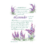 FRESH SCENT - SACHET - LAVENDER