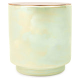PADDYWAX GLOW CANDLE - WHITE WOODS & MINT
