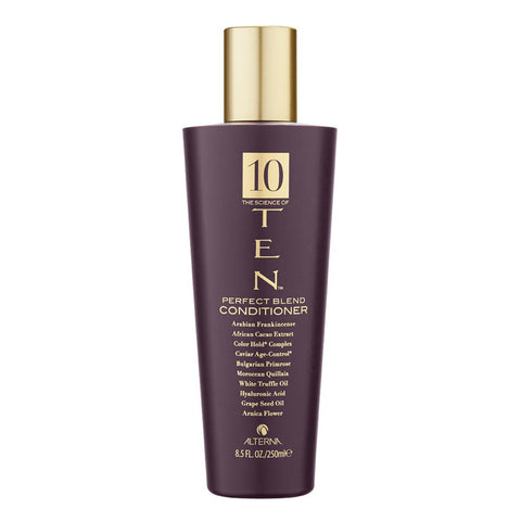 ALTERNA HAIRCARE TEN PERFECT BLEND CONDITIONER
