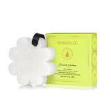 SPONGELLE WHITE BOXED FLOWER - COCONUT VERBENA