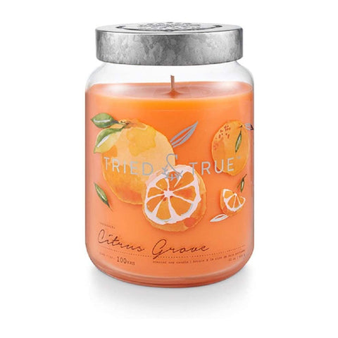 TRIED & TRUE XL JAR CANDLE - CITRUS GROVE