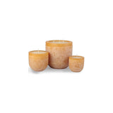 VANCE KITIRA TIMBER GOBLET 3-WICK CANDLE  6.25'' X 6"